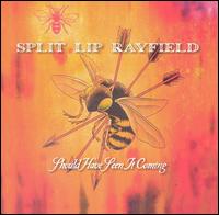 Should Have Seen It Coming von Split Lip Rayfield