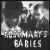 Talking to the Dead von Rosemary's Babies
