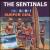 Big Surf!/Surfer Girl von The Sentinals