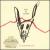 Box the Bunny [Bonus DVD] von Bunny Brains