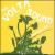 Dandelion Wine von The Volta Sound