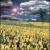 Skies Are Filled With Information von Occupants of Six Across