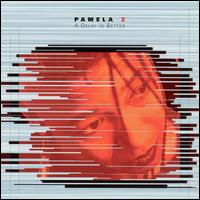 Delay Is Better von Pamela Z