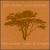 Sweet Soul of Kenya von David Nzomo