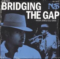 Bridging the Gap von Nas