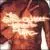 String Quartet Tribute to Tupac von Various Artists