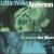 Swinging the Blues von Little Willie Anderson