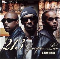 Groupie Luv von 213