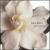 Love Songs [2005] von Lena Horne
