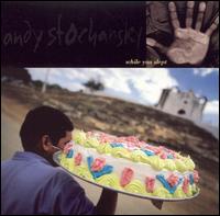 While You Slept von Andy Stochansky