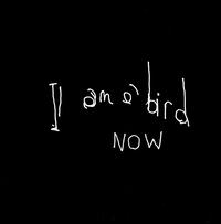 I Am a Bird Now von Antony and the Johnsons