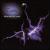 Blue Electric Cool von Curtis