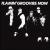 Flamin' Groovies Now von The Flamin' Groovies