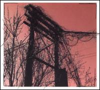 Accidents With Nature and Each Other von Harris Newman