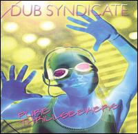 Pure Thrill Seekers von Dub Syndicate