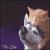 This Life von Cats and Dogs