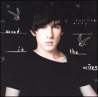 Wind in the Wires von Patrick Wolf