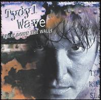 Break Down the Walls von Tydyl Wave