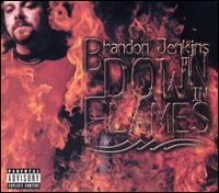 Down in Flames von Brandon Jenkins