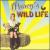 Darcy's Wild Life von Various Artists