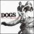 Tuned to a Different Station von Dogs
