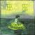 Prospect Hummer von Animal Collective