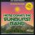 Here Comes the Sunburst Band von The Sunburst Band