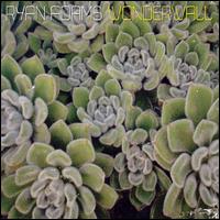 Wonderwall, Pt. 2 von Ryan Adams