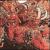 Bestial Machinery von Agoraphobic Nosebleed