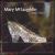 Crystal Shoe von Mary McLaughlin