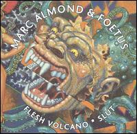 Flesh Volcano/Slut von Marc Almond