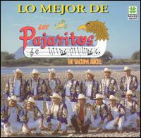 Mejor De Los Pajaritos von Los Pajaritos De Tacupa Michoacan