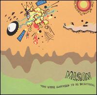 You Were Supposed to Be Beautiful von Mason