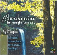Awakening in Magic Woods von Morpheo