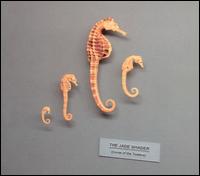 Curse of the Tuatara von The Jade Shader