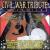 Civil War Tribute Collection von The Cumberlands