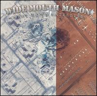 Shot Down Satellites von Wide Mouth Mason