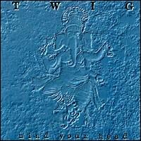 Mind Your Head von Twig
