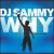 Why [Robbins Single] von DJ Sammy