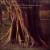 Synchestra von Devin Townsend