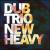 New Heavy von Dub Trio