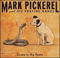 Snake in the Radio von Mark Pickerel