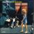 In the Meantime [US] von Spacehog