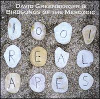 1001 Real Apes von David Greenberger
