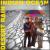 Desert Rain: Indian Ocean Live von Indian Ocean