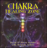 Chakra Healing Zone von David & Steve Gordon
