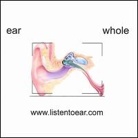 Whole von Ear