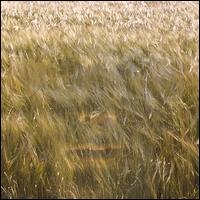 Longing for the Unreachable World von Magnus