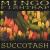 Succotash von Mingo Fishtrap