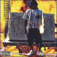 Book of YB von YB